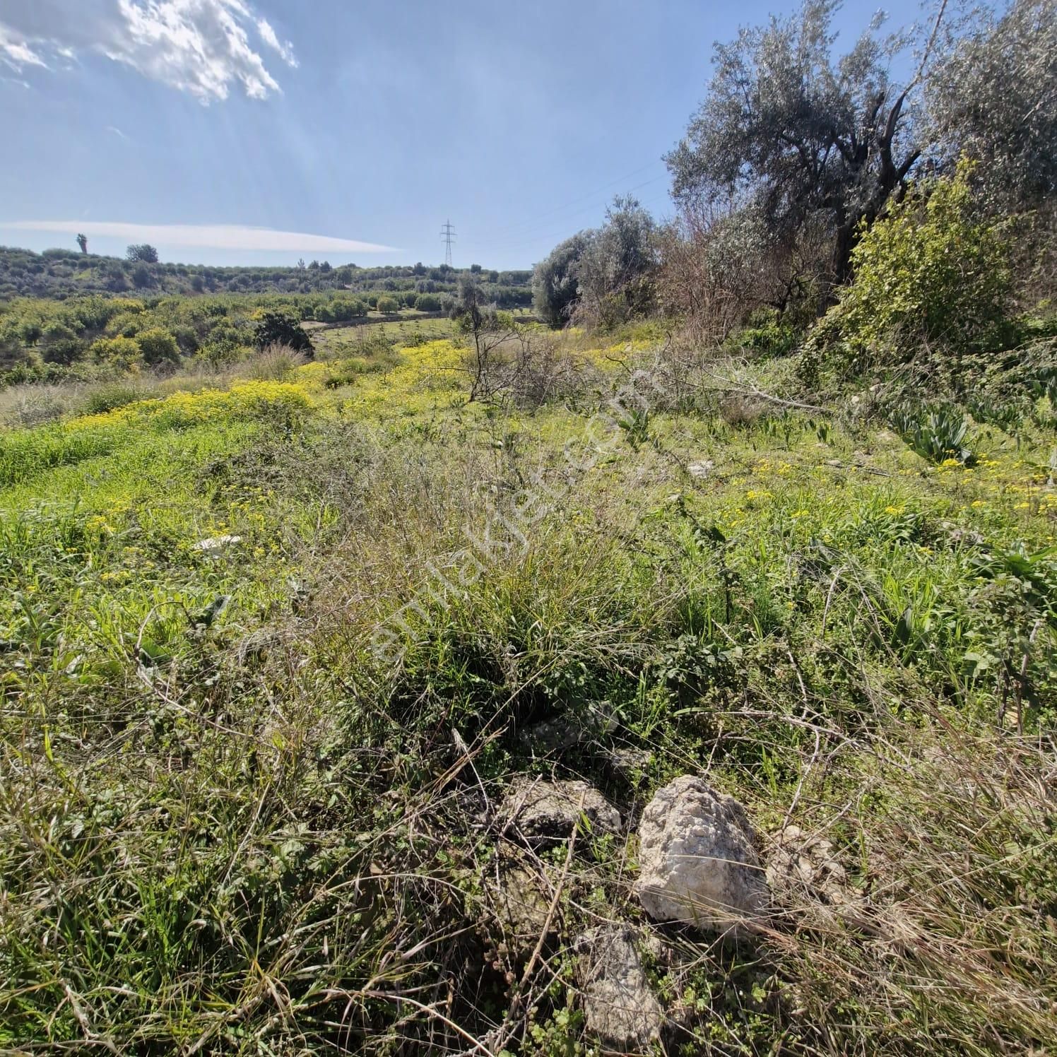 Aslan'dan Tece'de Kelepir Fiyata Satılık 570 M2 Hisse Tapu - Görsel 7