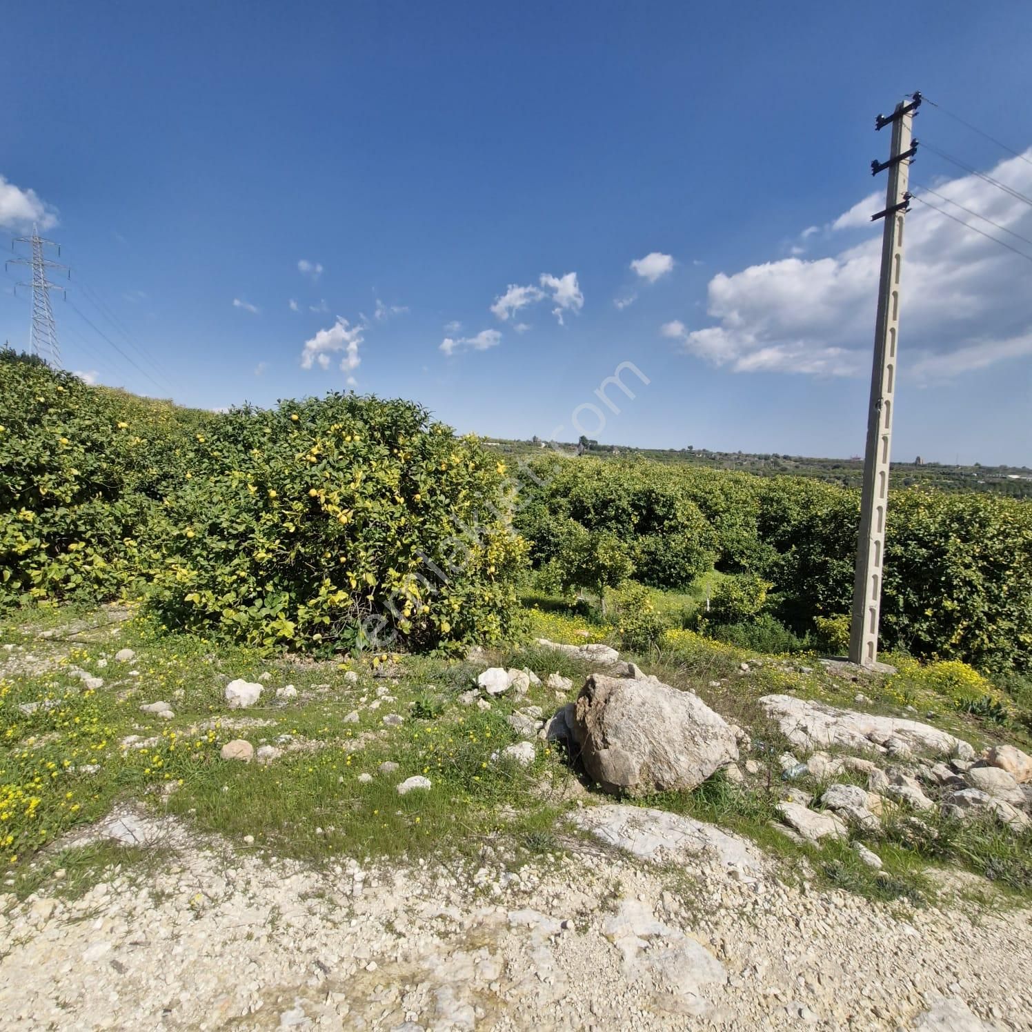 Aslan'dan Tece'de Kelepir Fiyata Satılık 570 M2 Hisse Tapu - Görsel 6