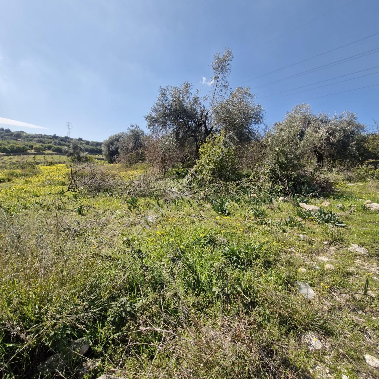 Aslan'dan Tece'de Kelepir Fiyata Satılık 570 M2 Hisse Tapu - Görsel 5