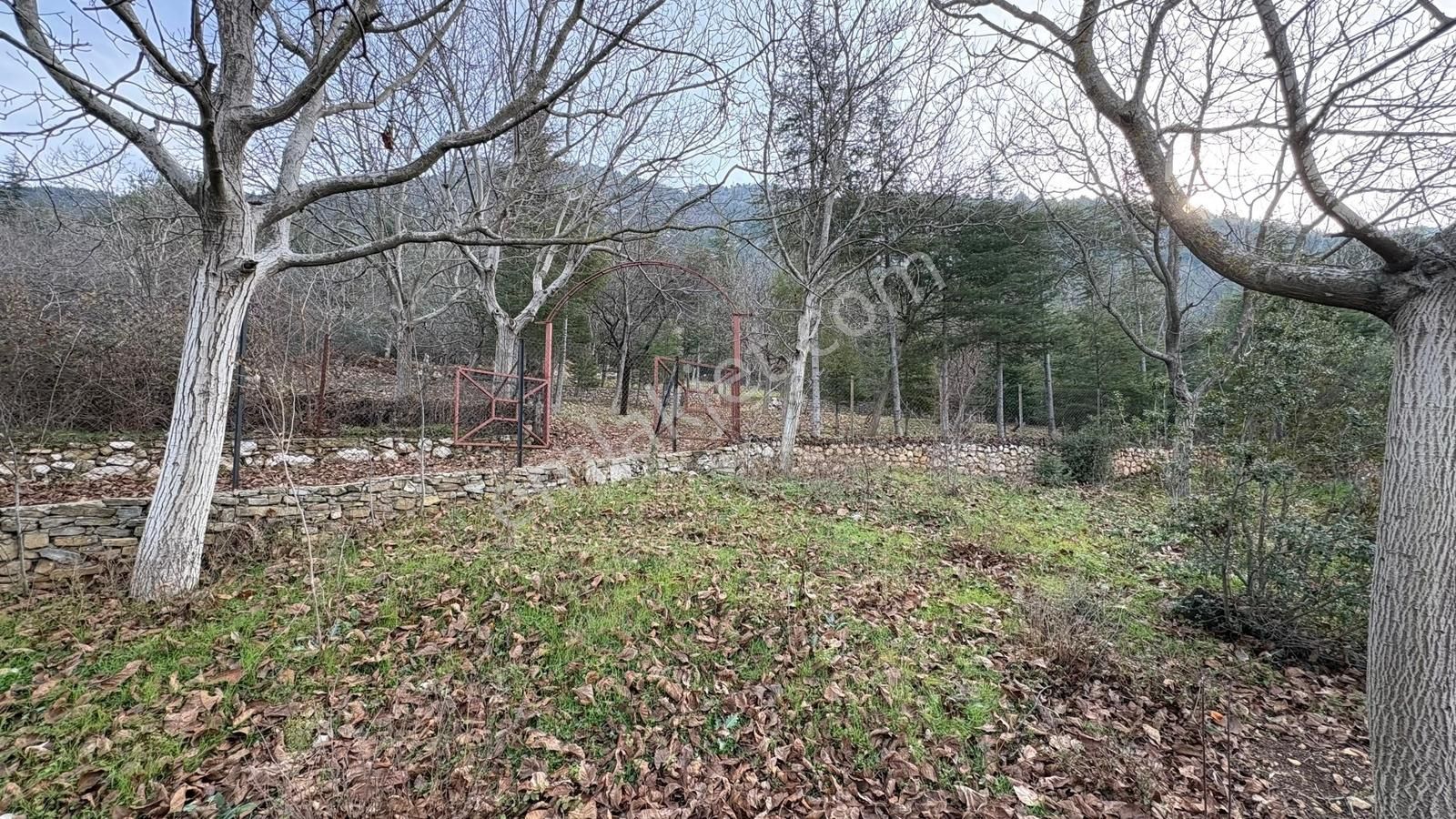 Yiğithan Gayrimenkul Dan Satılık Yayla Evi Ve Arsası - Görsel 14