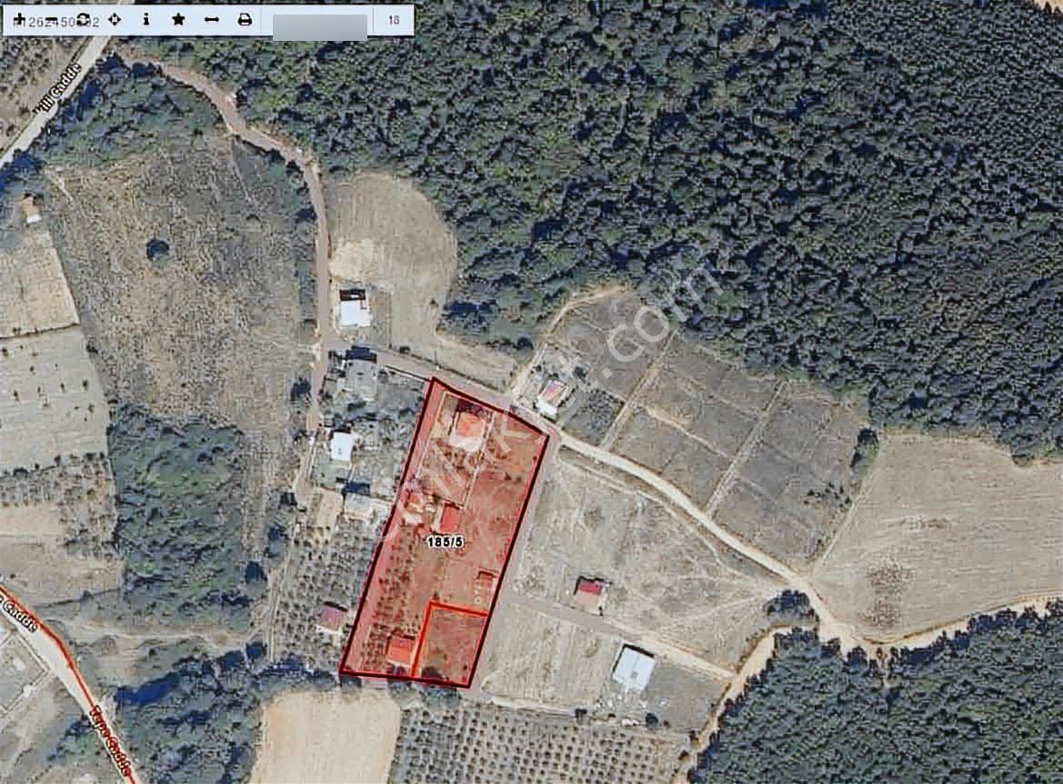 Kandıra Kefkende Plaja Yakın Satılık Arazi