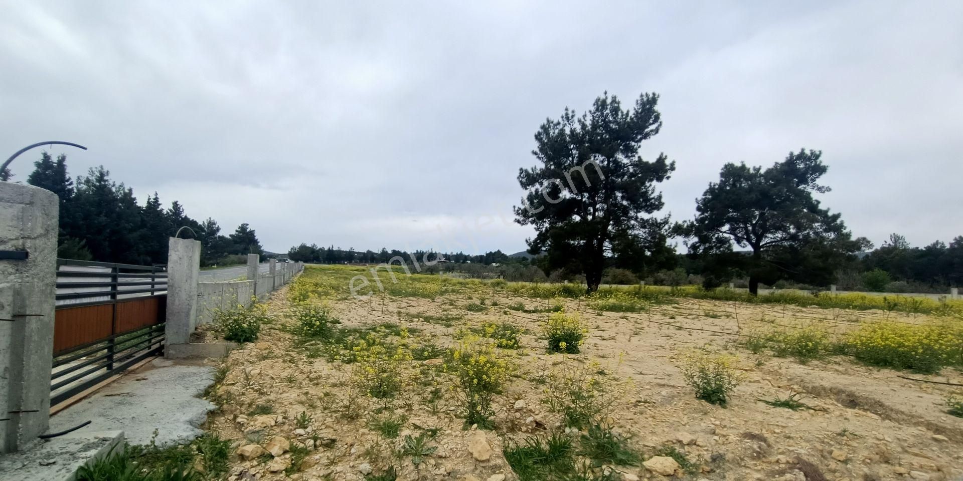 Kuşadası Yeniköy Çınar Kirazlı Bölgesinde Yola Sıfır Arsa - Görsel 6