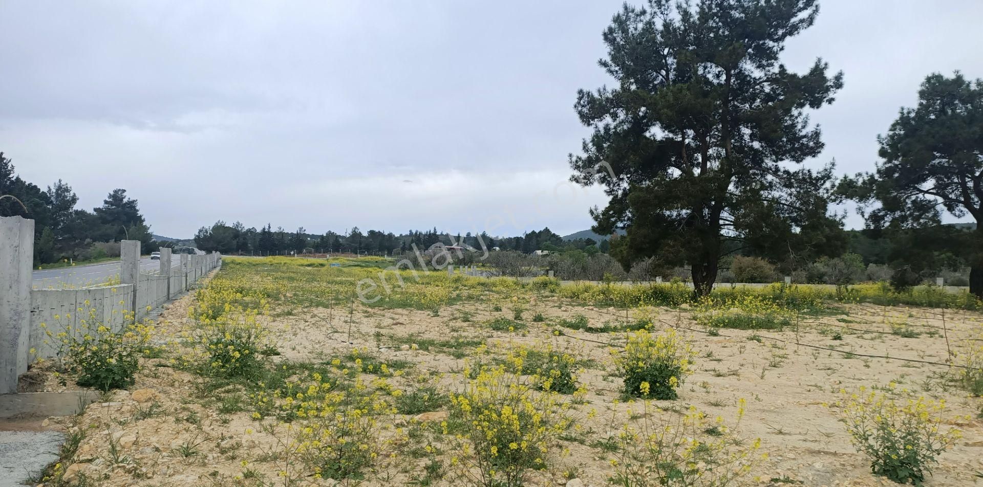 Kuşadası Yeniköy Çınar Kirazlı Bölgesinde Yola Sıfır Arsa - Görsel 7