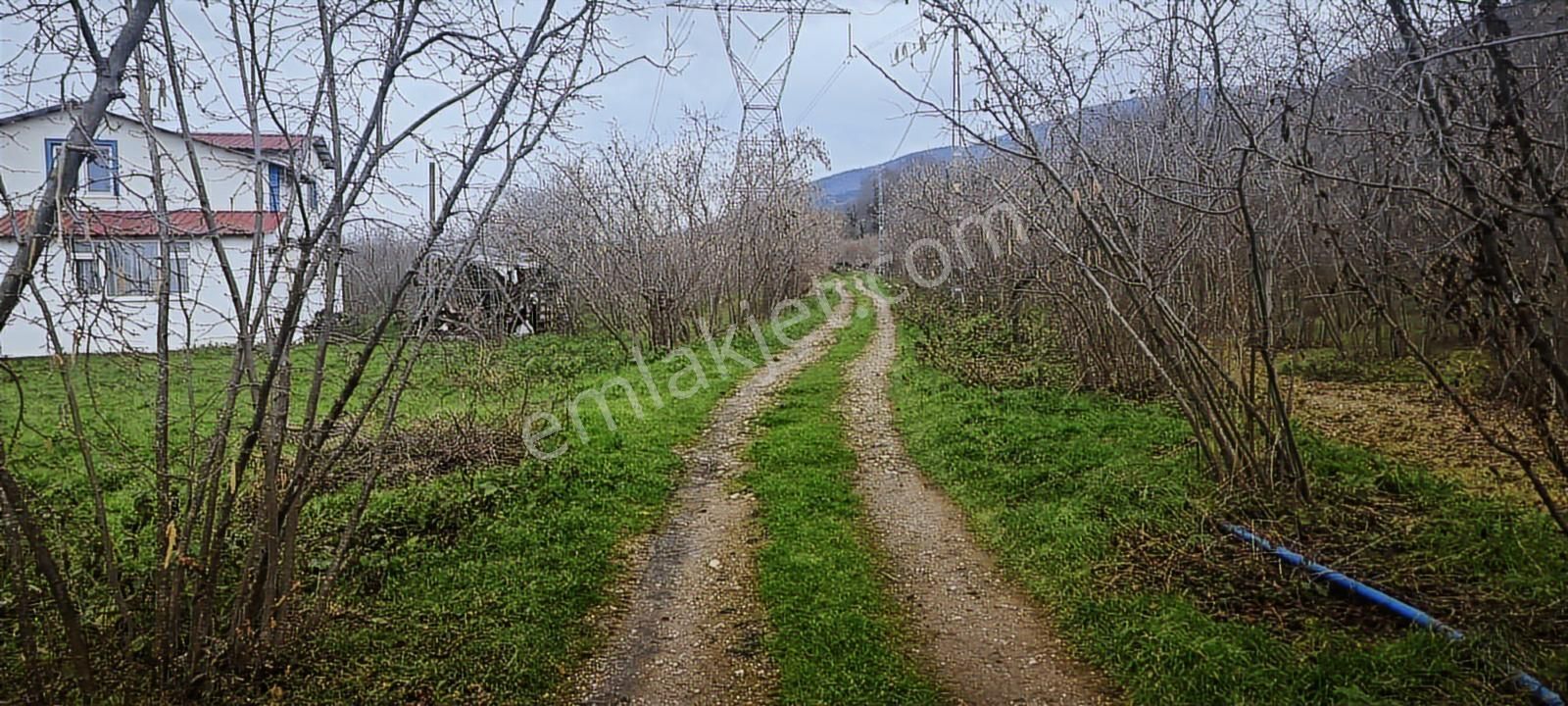 İki Tapu Manzaralı Düz Yol Su Elektrik Üstünde Fındık Var - Görsel 7