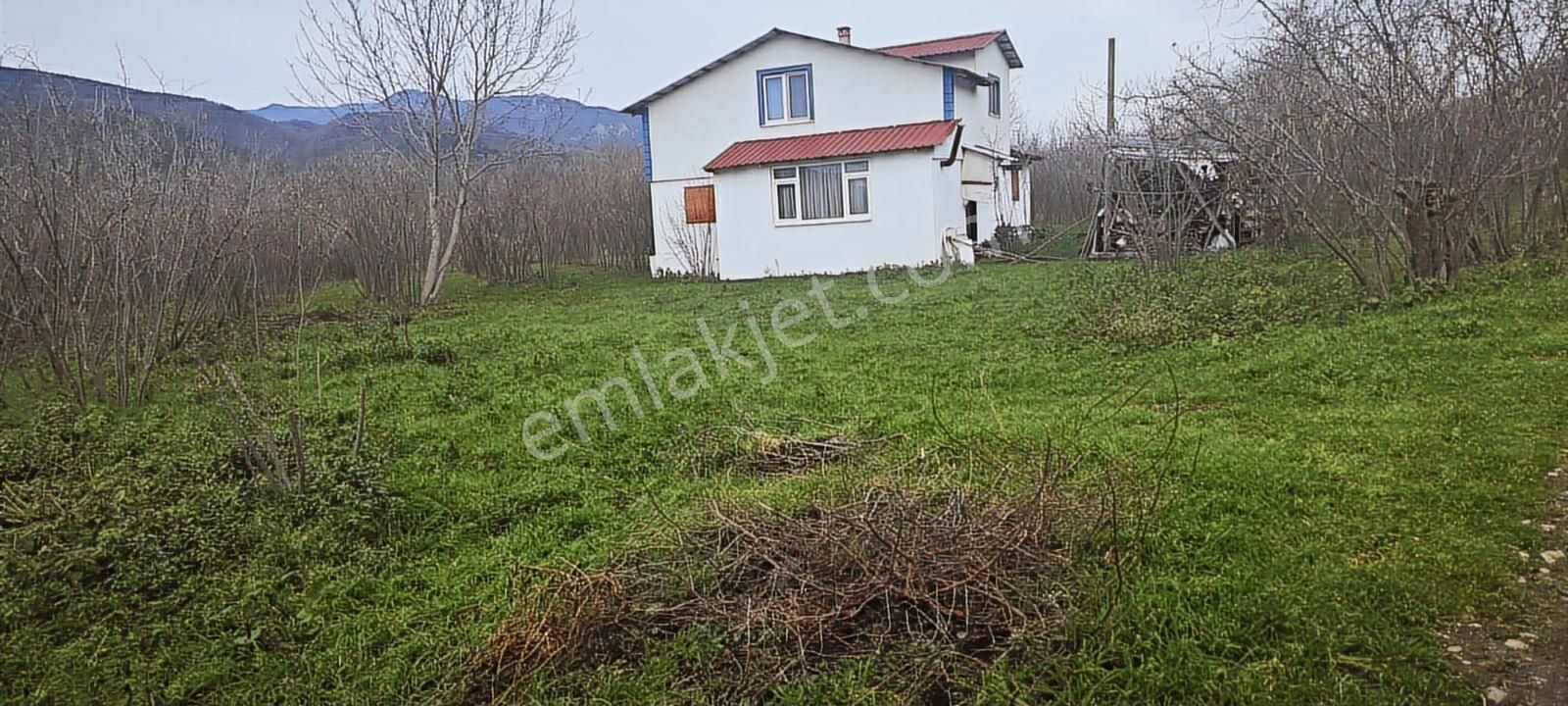 İki Tapu Manzaralı Düz Yol Su Elektrik Üstünde Fındık Var - Görsel 9