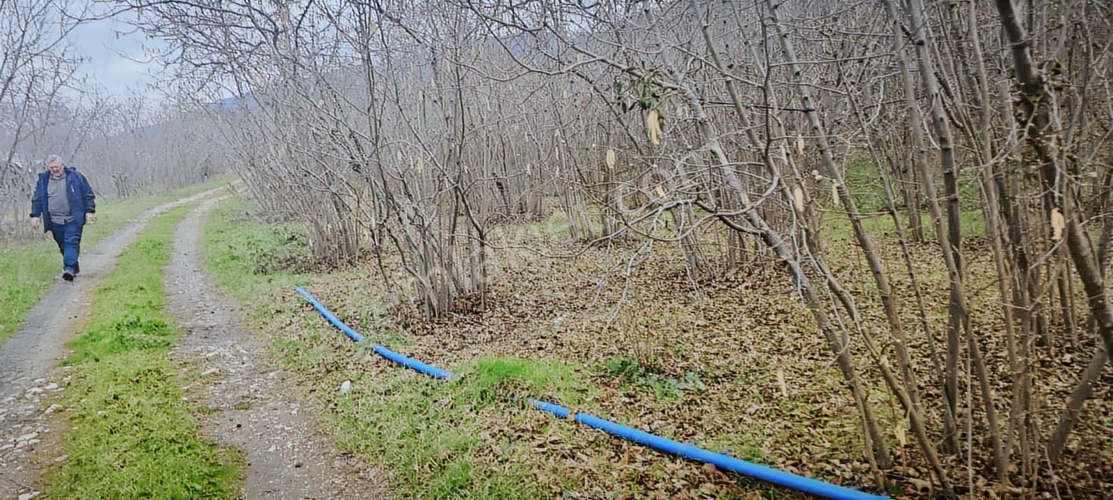 İki Tapu Manzaralı Düz Yol Su Elektrik Üstünde Fındık Var - Görsel 12