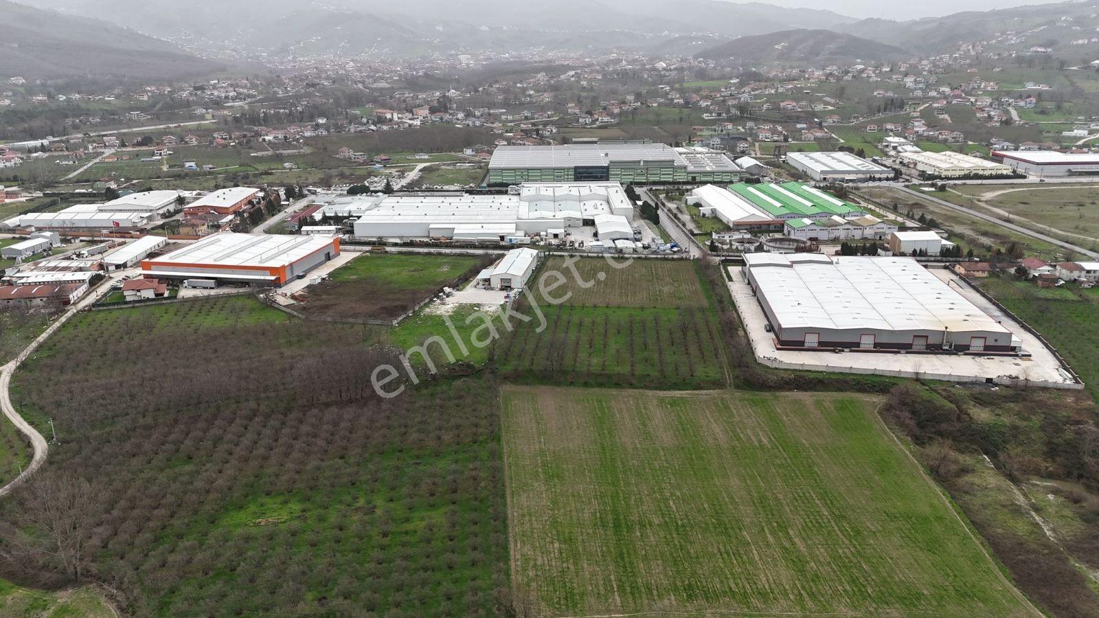 5.100 Metrekare Bacalı Sanayi Arsası - Görsel 9