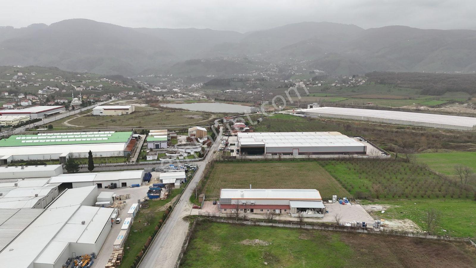 5.100 Metrekare Bacalı Sanayi Arsası - Görsel 7
