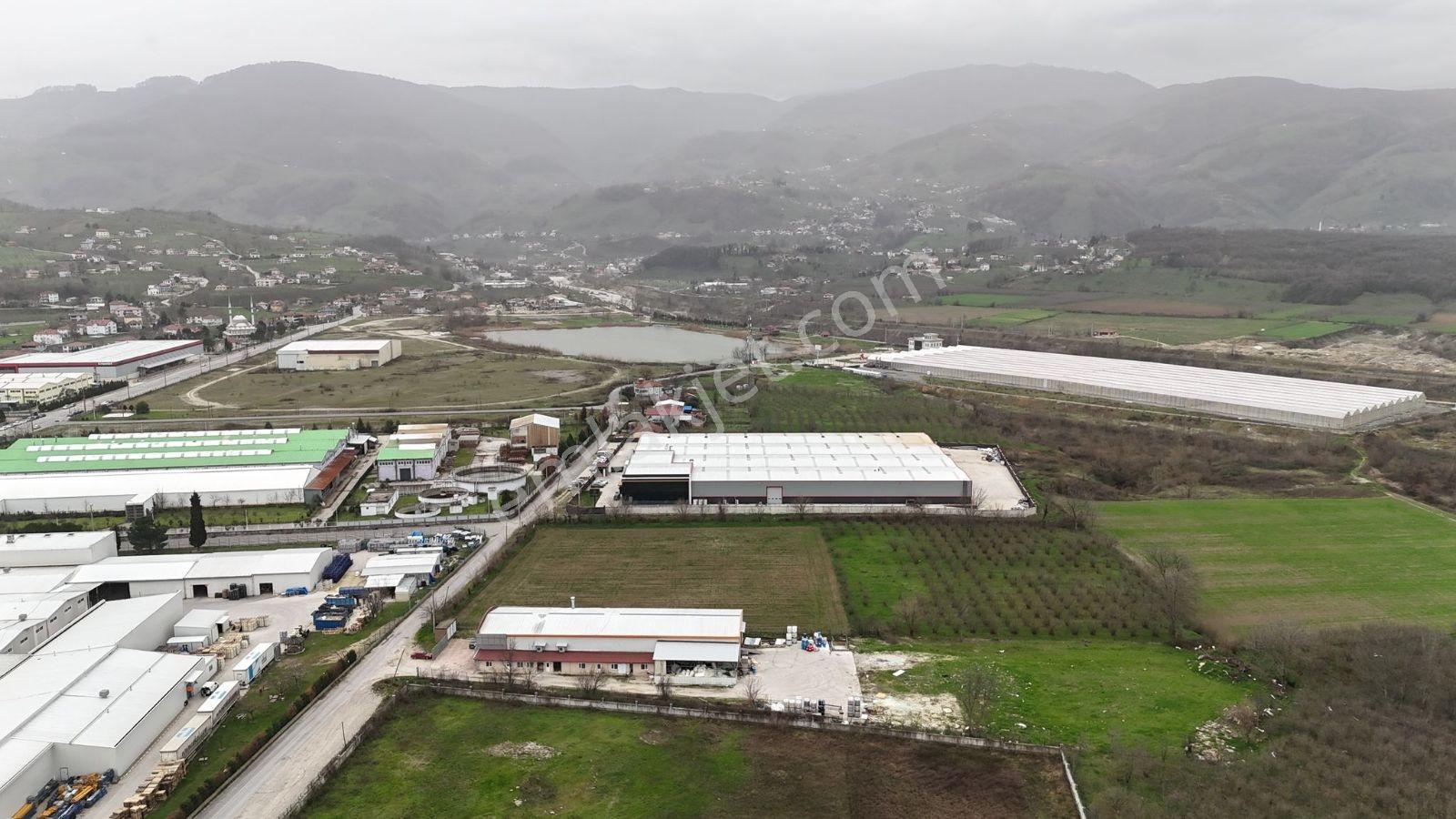 5.100 Metrekare Bacalı Sanayi Arsası - Görsel 8