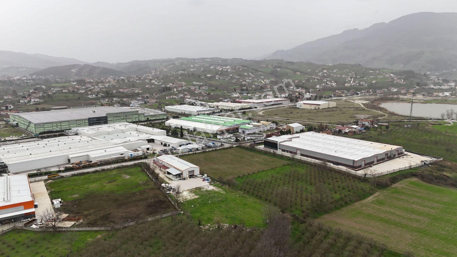 5.100 Metrekare Bacalı Sanayi Arsası - Görsel 12