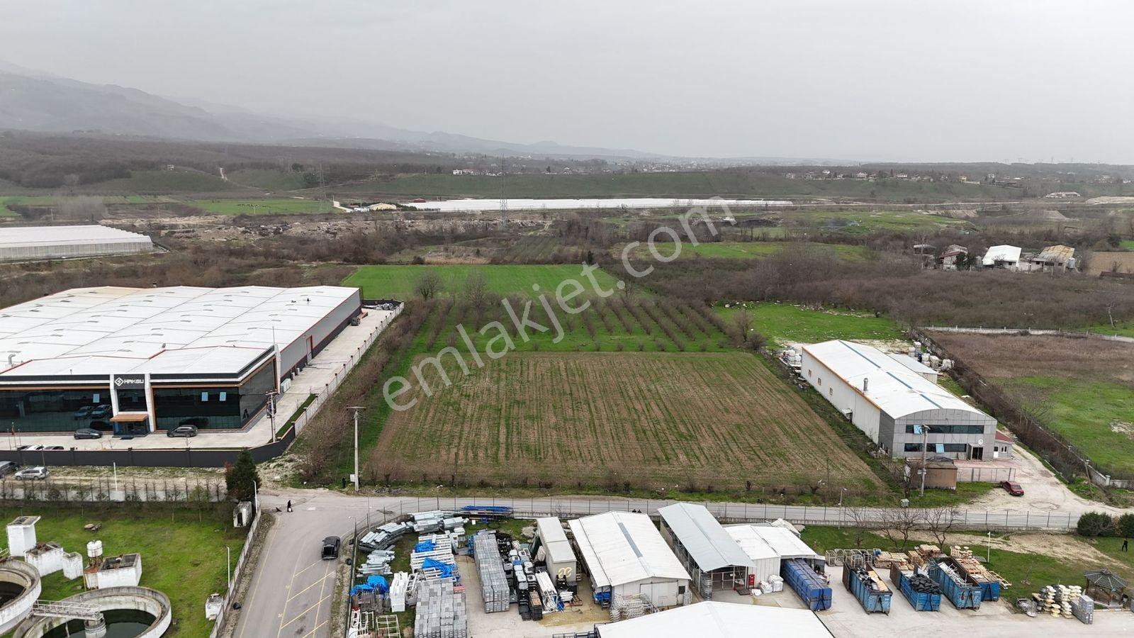 5.100 Metrekare Bacalı Sanayi Arsası