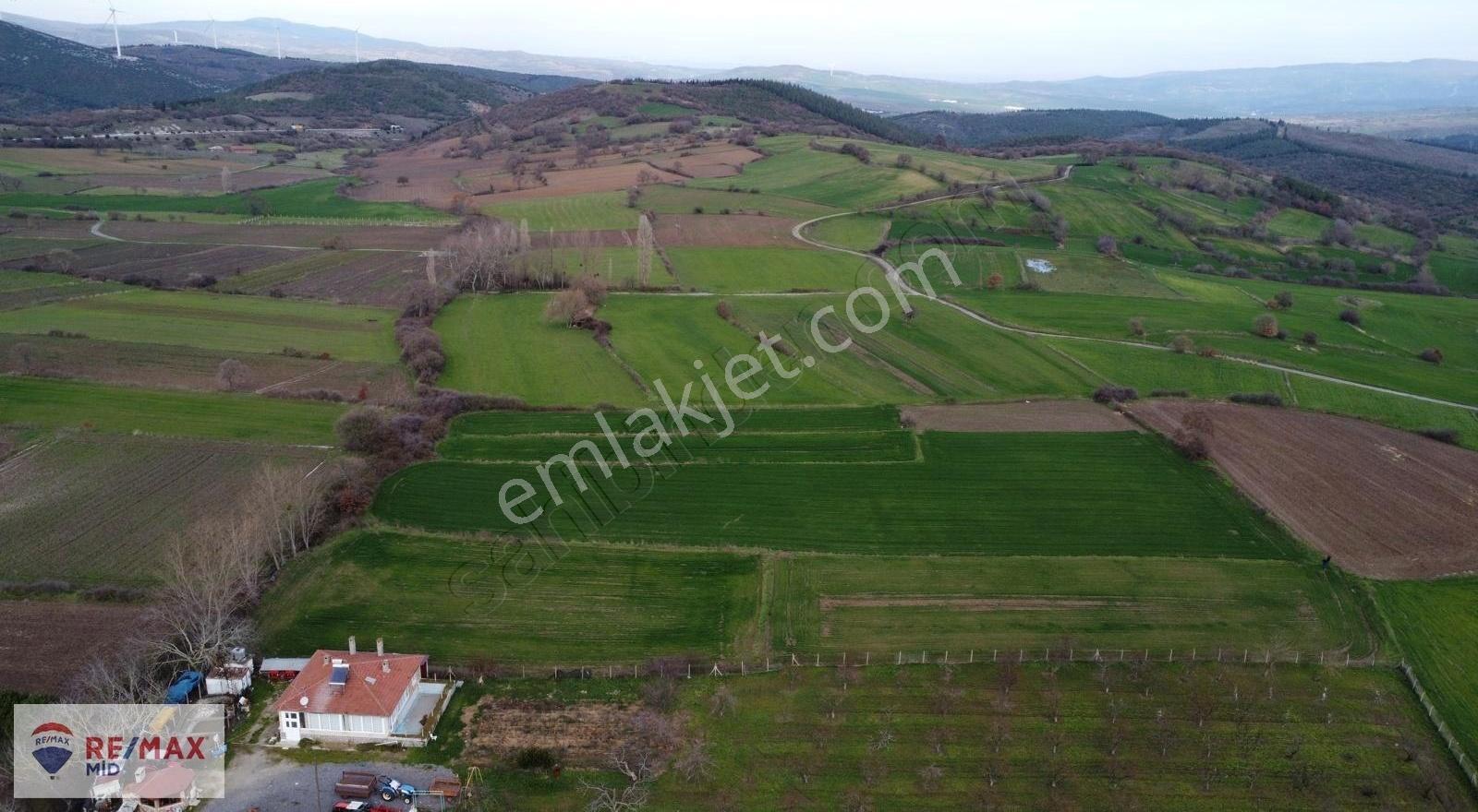 Remax Mid Kürse Mah. 8196 M2 Satılık Tarla - Görsel 9
