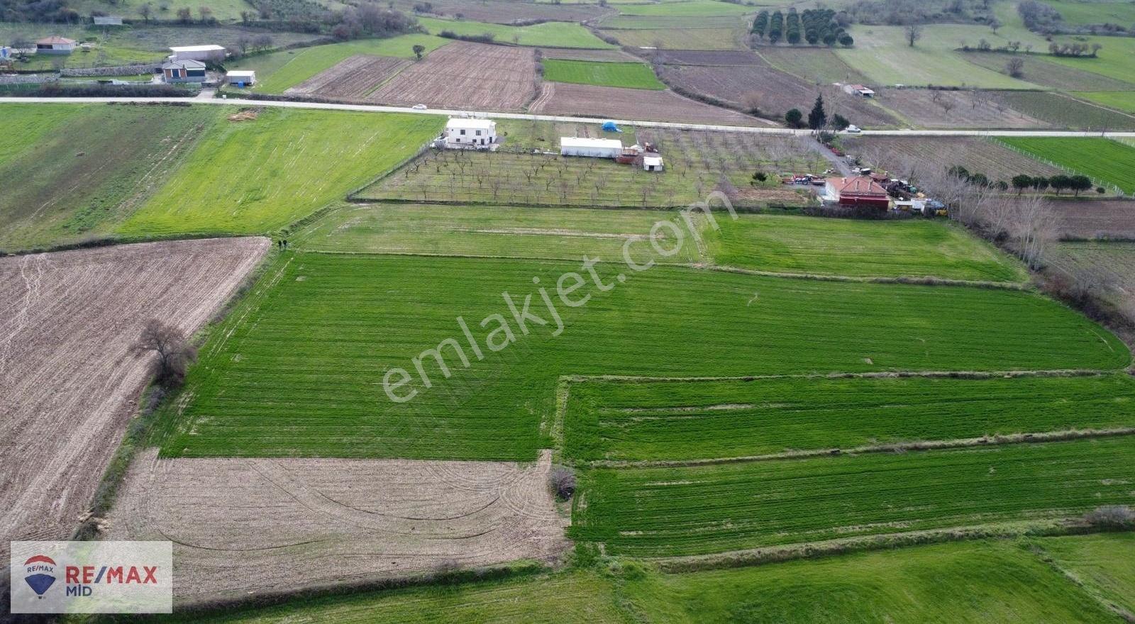 Remax Mid Kürse Mah. 8196 M2 Satılık Tarla - Görsel 4