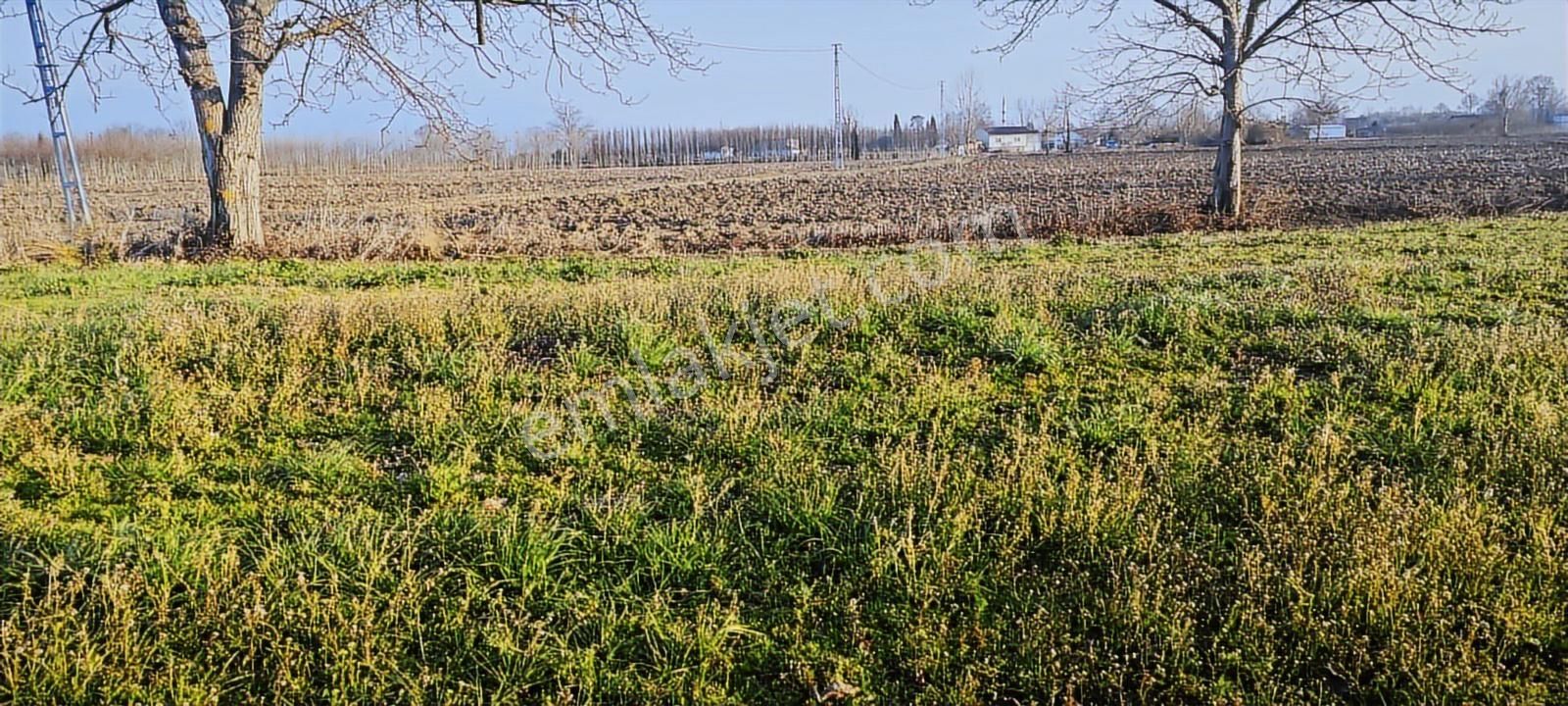 Yol Su Elektrik Önünde Müstakil Tapu Kaçmaz Konum - Görsel 21