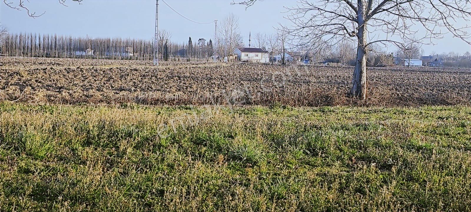 Yol Su Elektrik Önünde Müstakil Tapu Kaçmaz Konum - Görsel 18