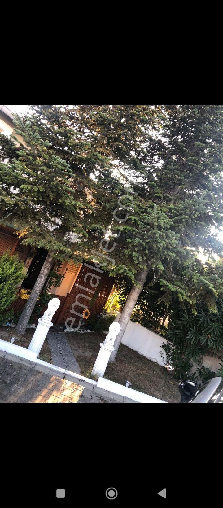 Nezih Sitede Satılık Villa - Görsel 15