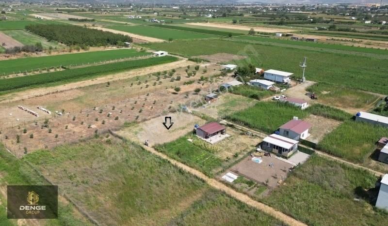 537m2 Elektrik Dibinde Bolca Komşulu Satılık Hobi Bahçesi - Görsel 8