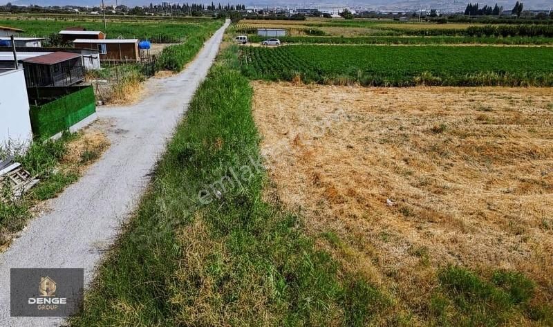 537m2 Elektrik Dibinde Bolca Komşulu Satılık Hobi Bahçesi - Görsel 6