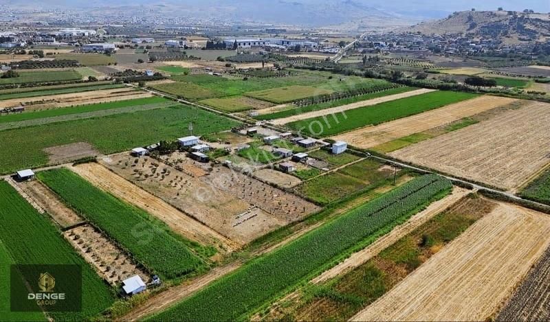 537m2 Elektrik Dibinde Bolca Komşulu Satılık Hobi Bahçesi - Görsel 18