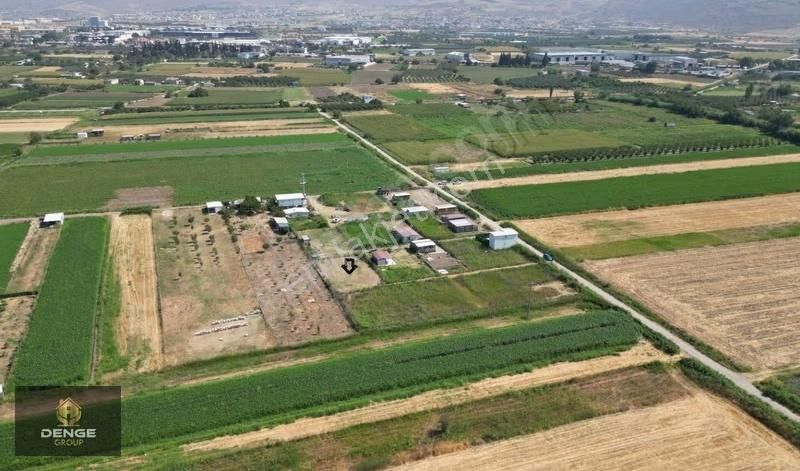 537m2 Elektrik Dibinde Bolca Komşulu Satılık Hobi Bahçesi - Görsel 14