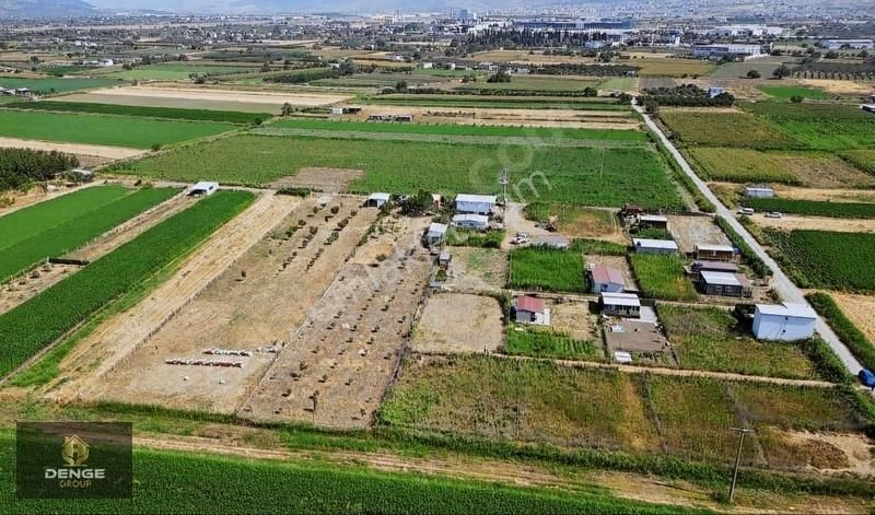 537m2 Elektrik Dibinde Bolca Komşulu Satılık Hobi Bahçesi - Görsel 2