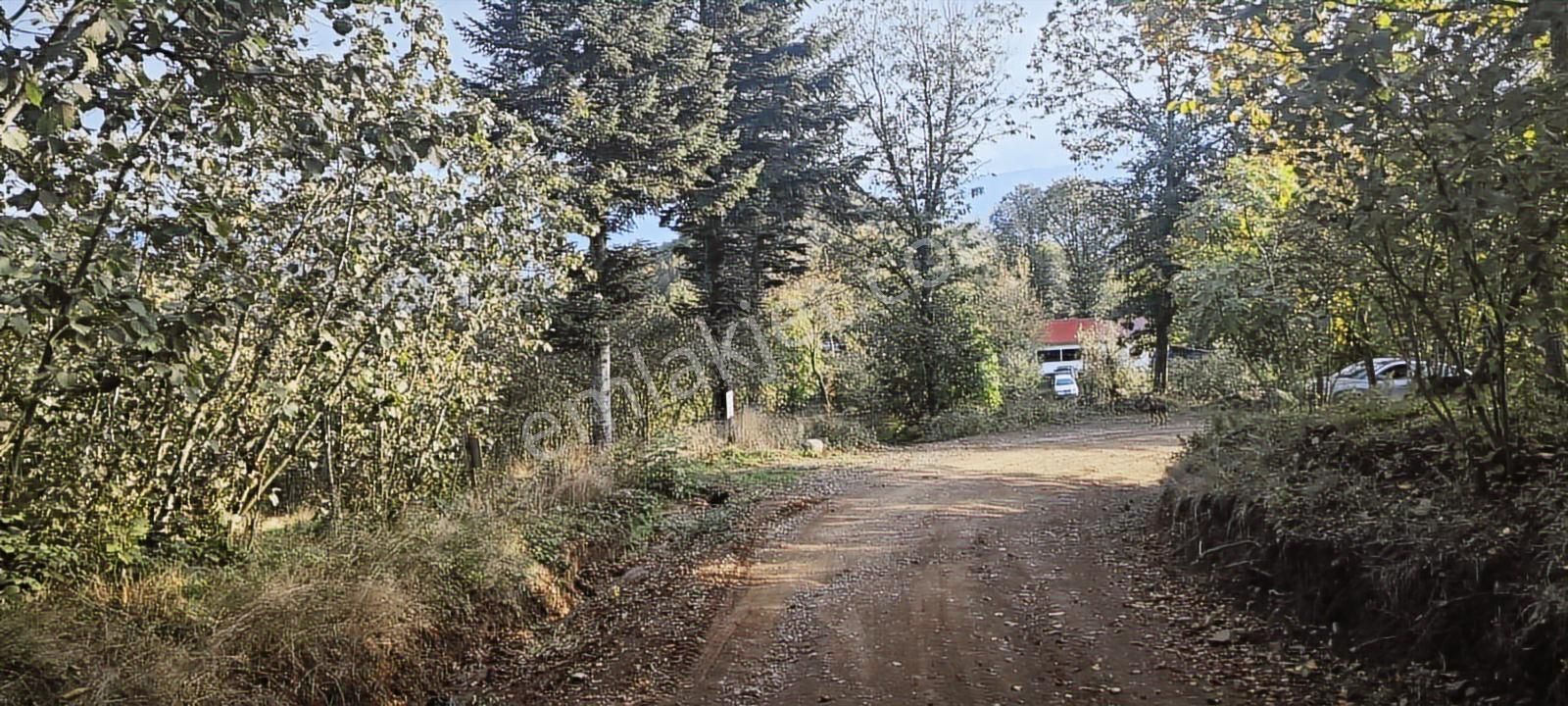 Müstakil Tapu Yol Su Elektrik Ve Avcı Kulübesi Var - Görsel 16