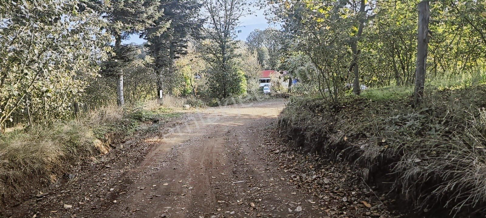 Müstakil Tapu Yol Su Elektrik Ve Avcı Kulübesi Var