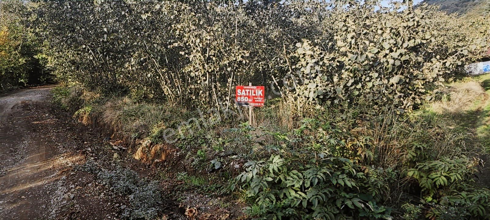 Müstakil Tapu Yol Su Elektrik Ve Avcı Kulübesi Var - Görsel 18