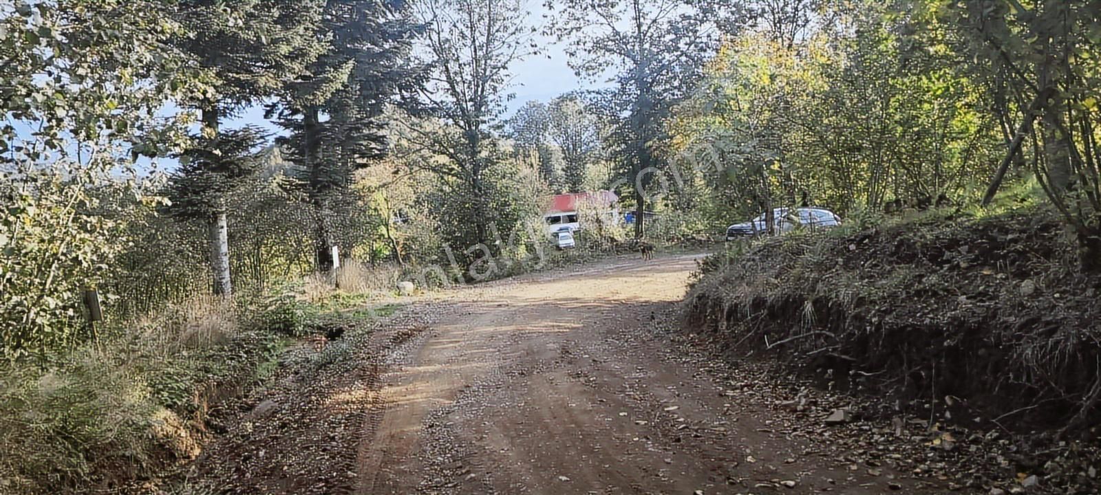 Müstakil Tapu Yol Su Elektrik Ve Avcı Kulübesi Var - Görsel 14