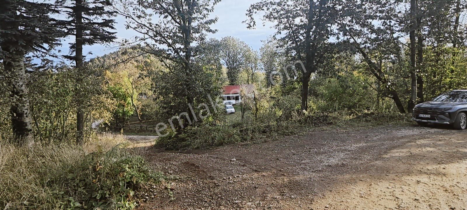 Müstakil Tapu Yol Su Elektrik Ve Avcı Kulübesi Var - Görsel 15