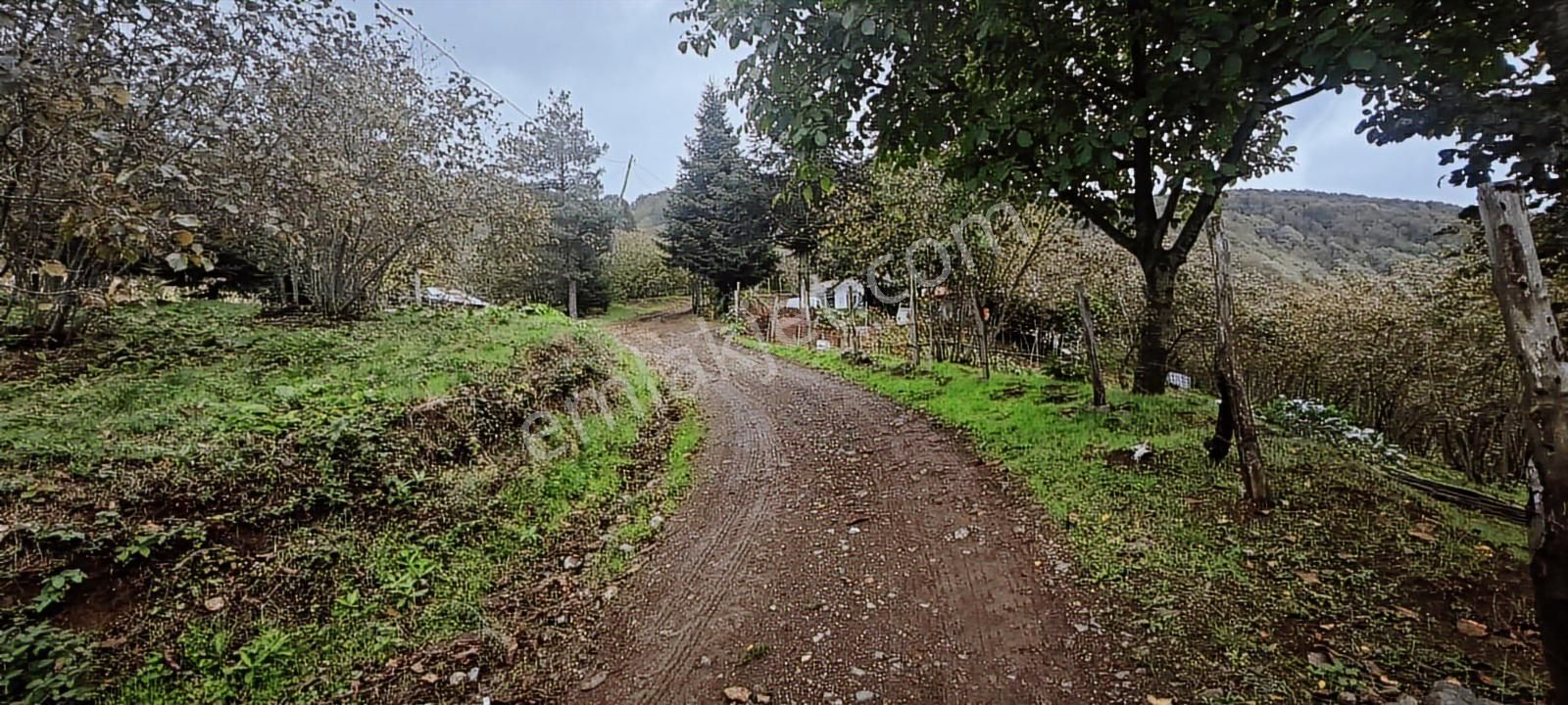 1892 Metrekare Müstakil Tapu Yol Su Elektrik Var - Görsel 3