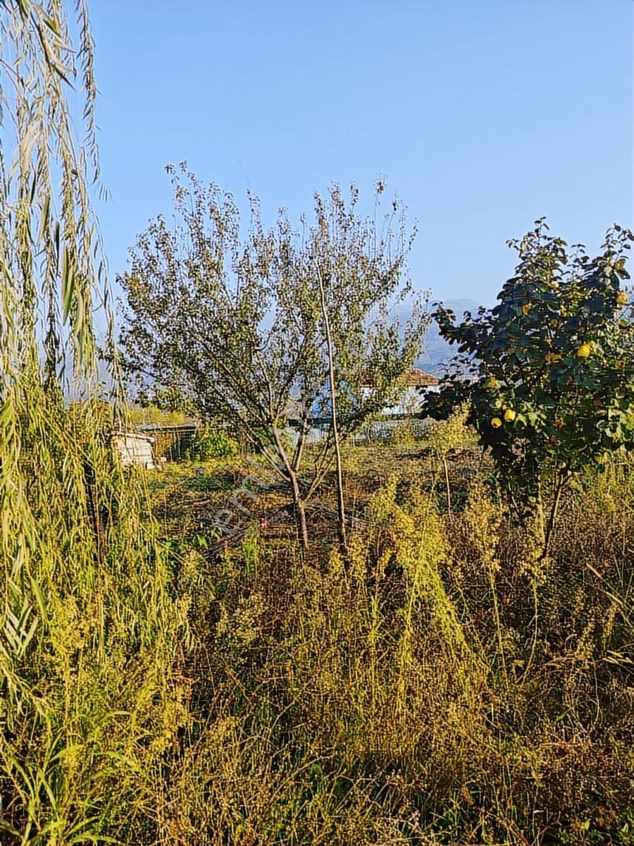 1.150 Metrekare Arsa İçinde 130 Metrekare Lüks 3+1 Yerdenısı Ev - Görsel 5