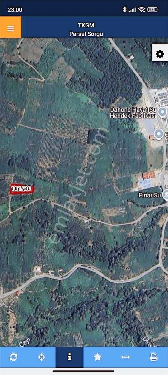 Fiat Düştü 2774metrekare Fındık Bahçesi Pınar Su Fabrikasına Yak