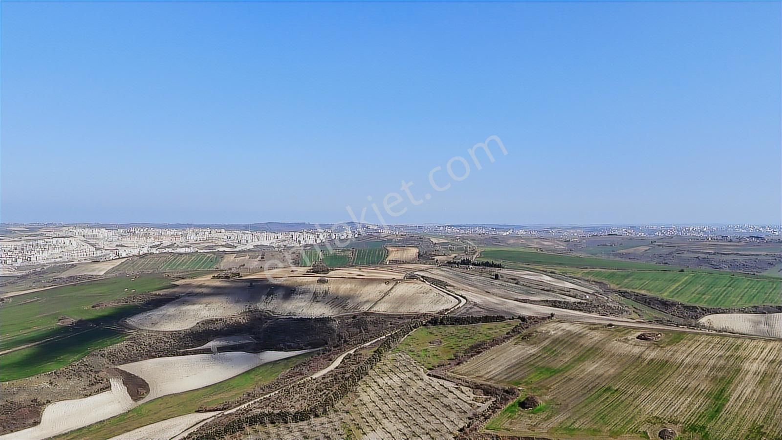 Arnavutköy Satılık Arsa - Görsel 13