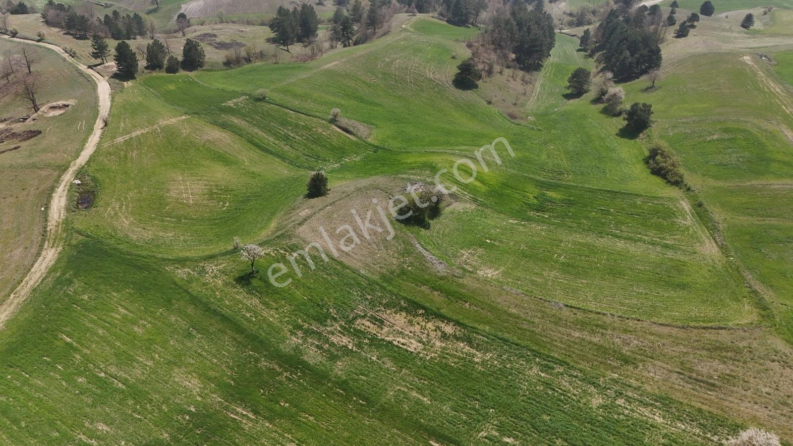 Balıkesir/sındırgıyüreğil-yola Cepheli-5.496 M2 Satılık Arazi - Görsel 13