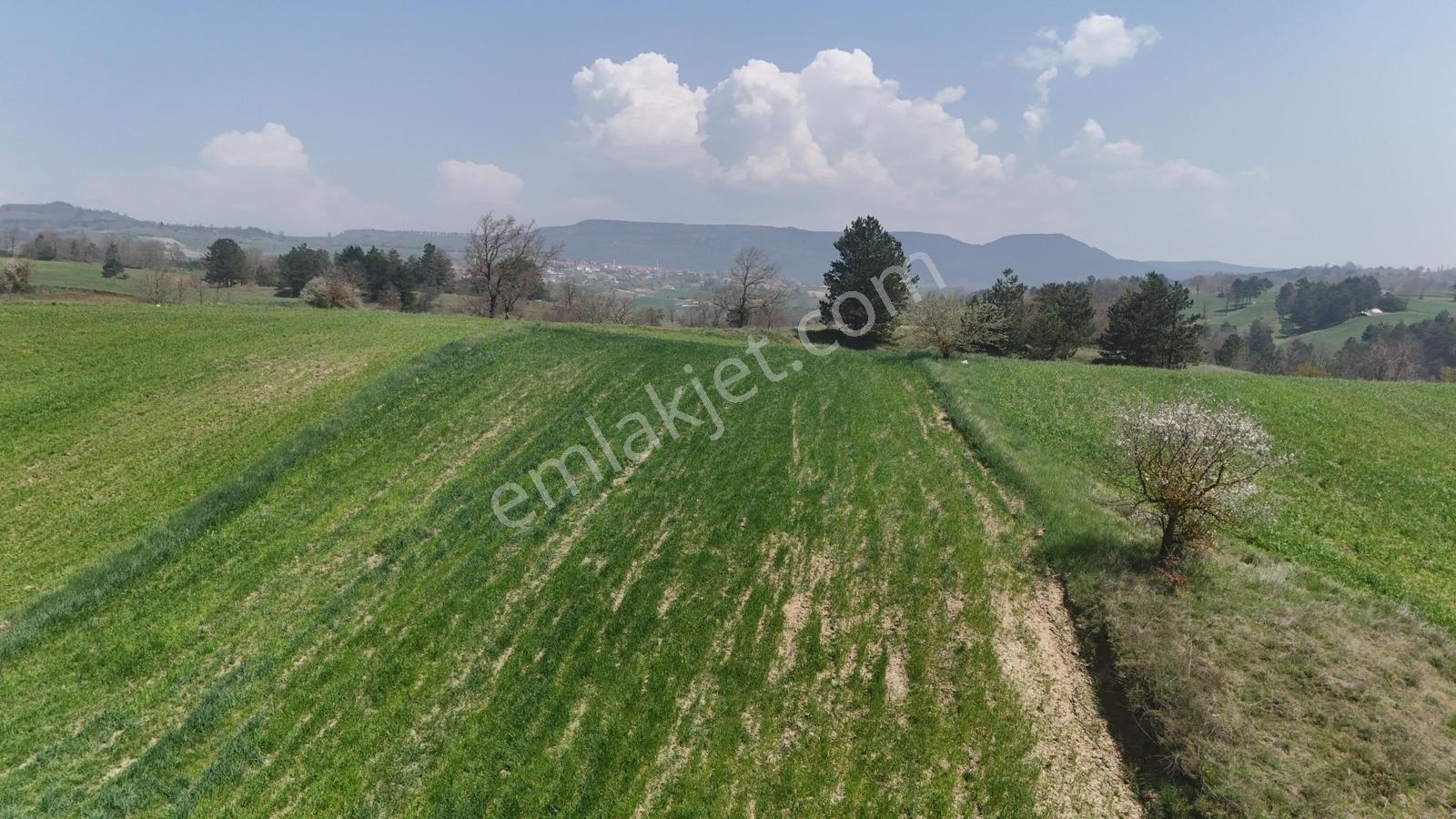 Balıkesir/sındırgıyüreğil-yola Cepheli-5.496 M2 Satılık Arazi - Görsel 9