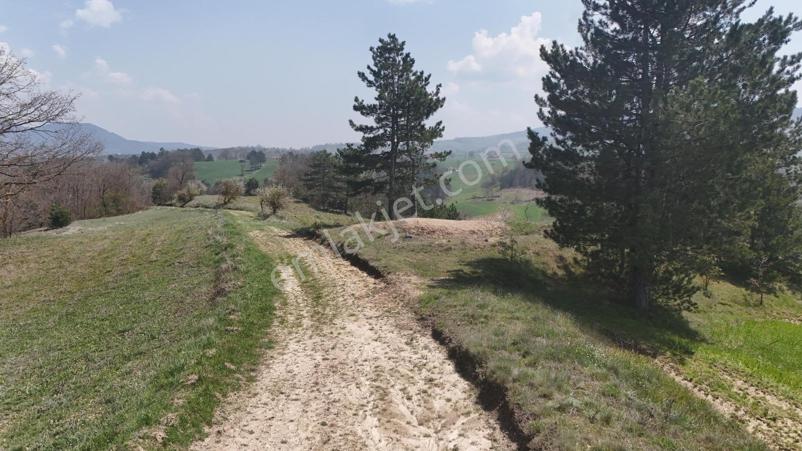 Balıkesir/sındırgıyüreğil-yola Cepheli-5.496 M2 Satılık Arazi - Görsel 14