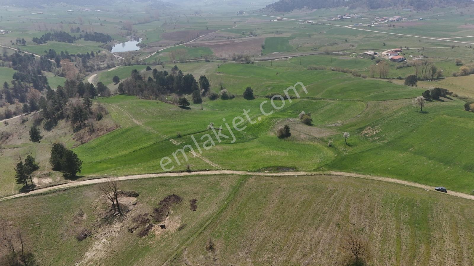 Balıkesir/sındırgıyüreğil-yola Cepheli-5.496 M2 Satılık Arazi - Görsel 15