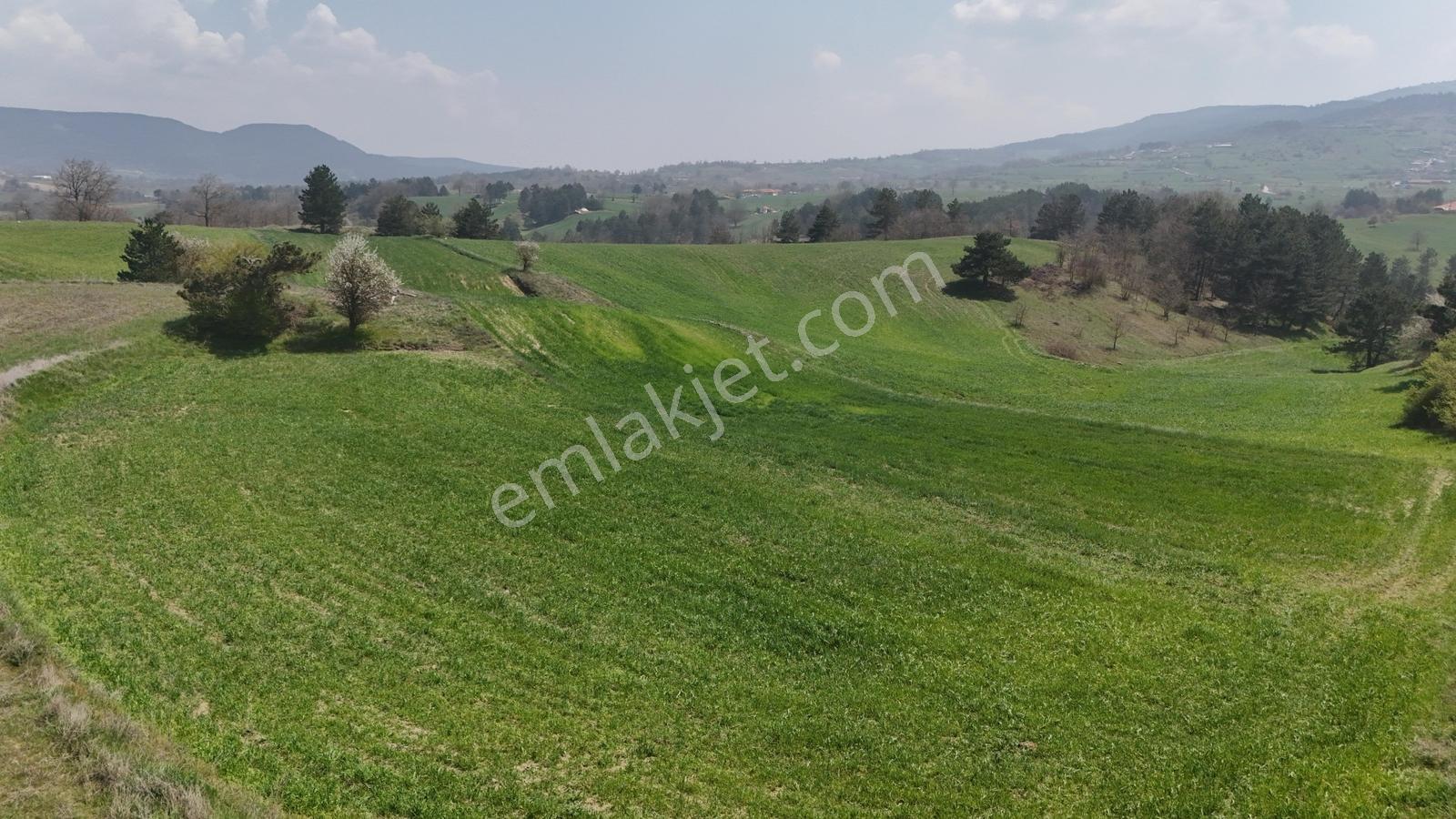 Balıkesir/sındırgıyüreğil-yola Cepheli-5.496 M2 Satılık Arazi - Görsel 2