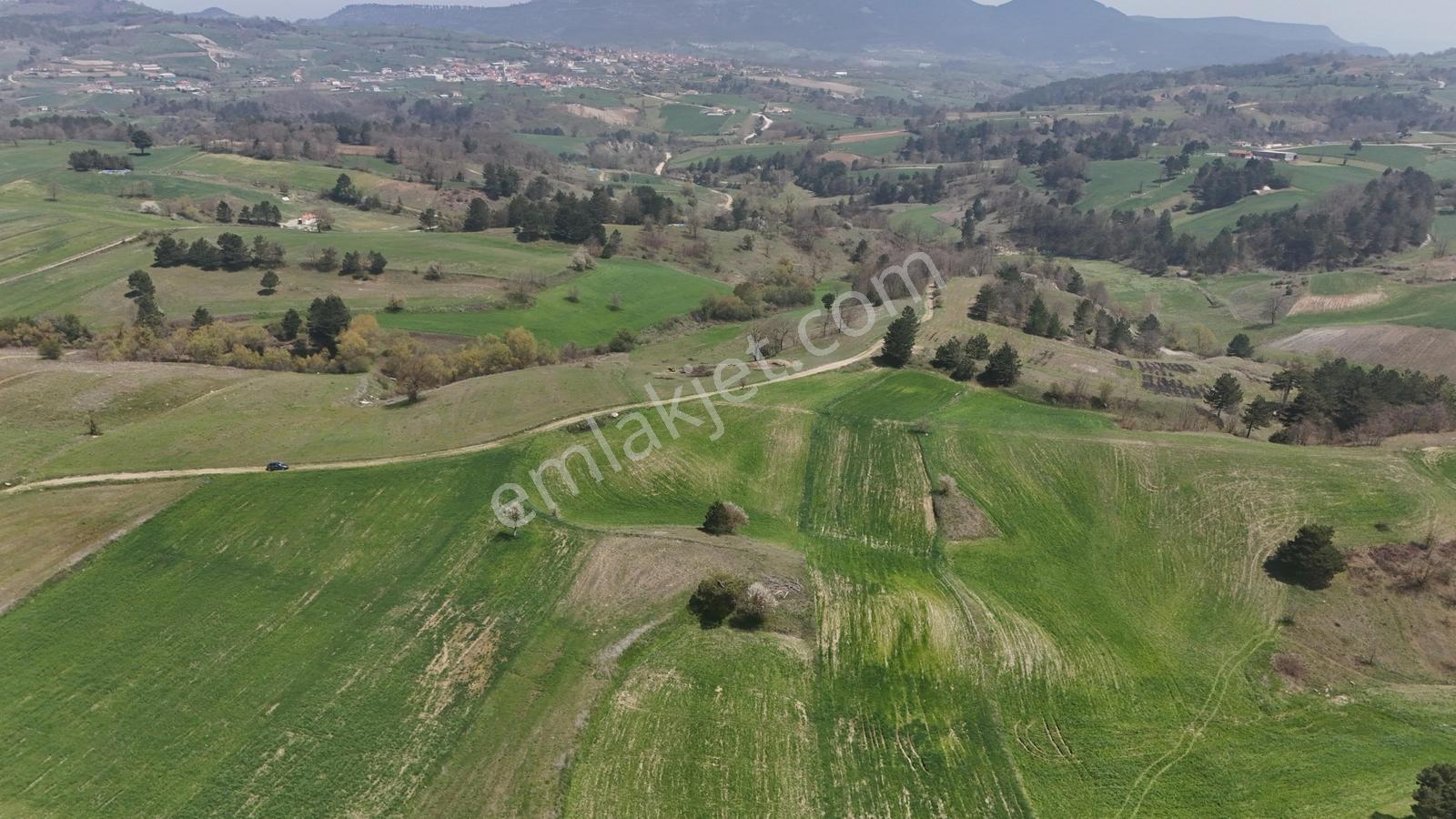 Balıkesir/sındırgıyüreğil-yola Cepheli-5.496 M2 Satılık Arazi - Görsel 12