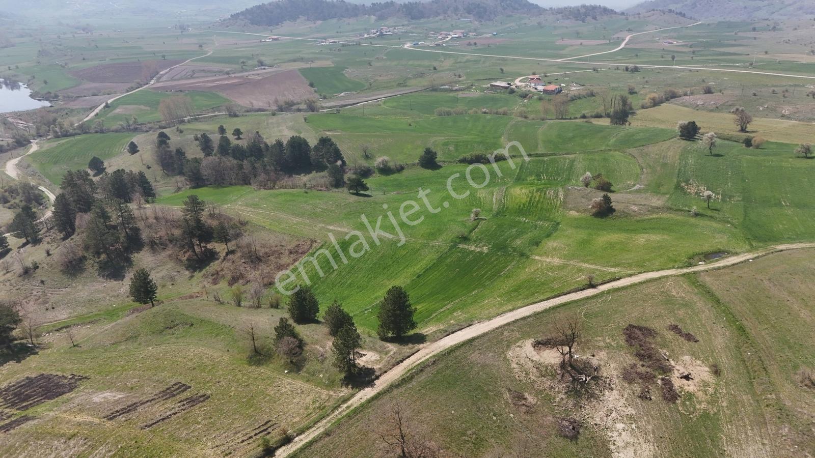 Balıkesir/sındırgıyüreğil-yola Cepheli-5.496 M2 Satılık Arazi - Görsel 10