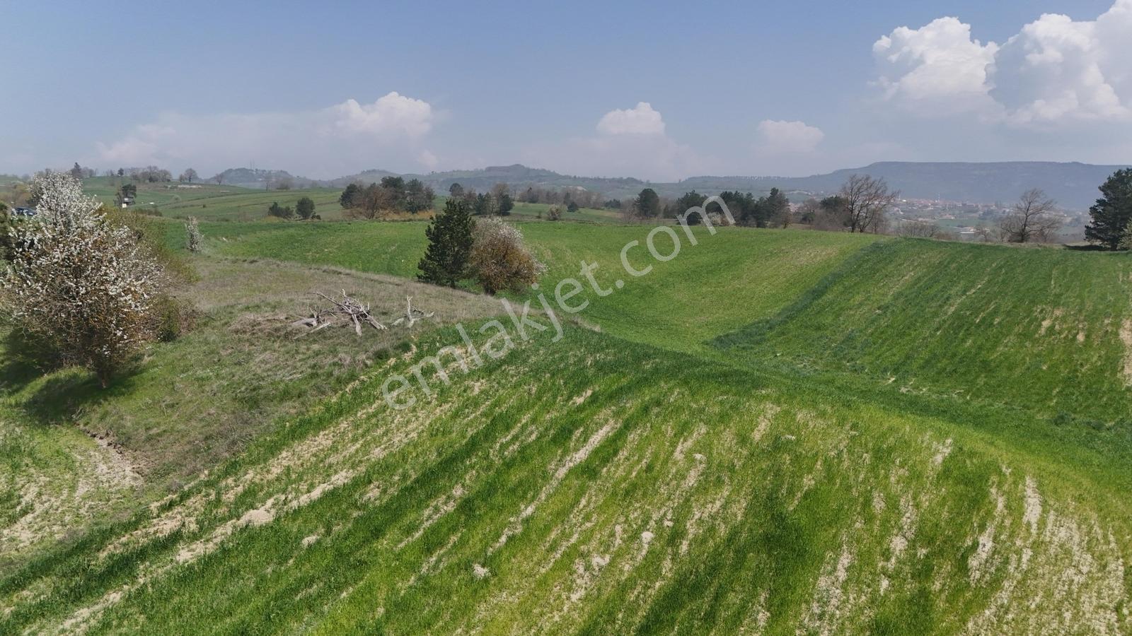Balıkesir/sındırgıyüreğil-yola Cepheli-5.496 M2 Satılık Arazi - Görsel 19