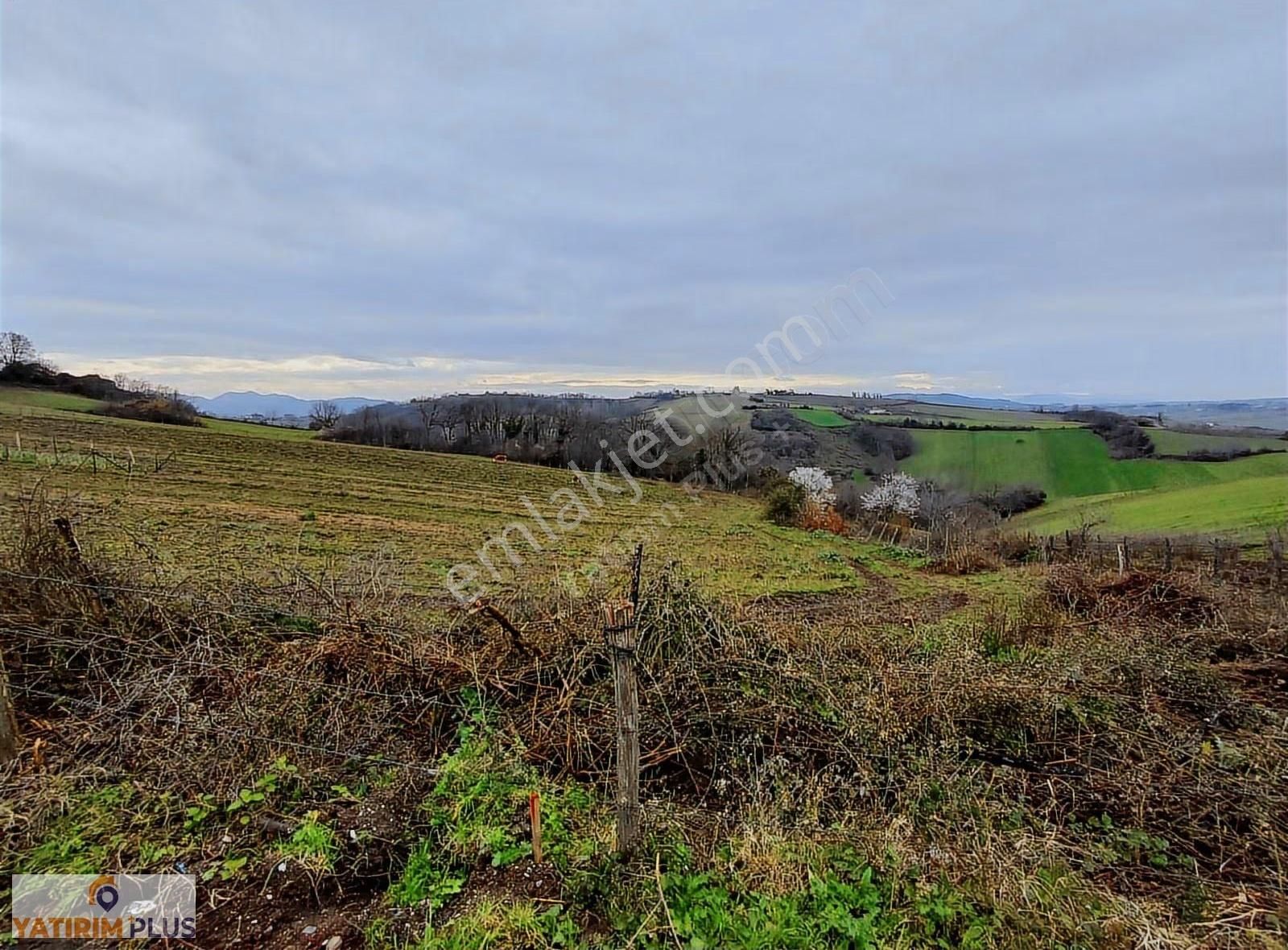 Yatırım Plus'tan Bafra Köselide Köyiçi İmarlı Satılık Tarla - Görsel 8