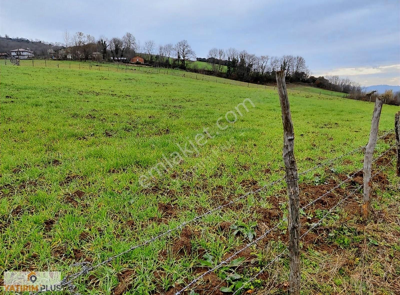 Yatırım Plus'tan Bafra Köselide Köyiçi İmarlı Satılık Tarla - Görsel 5