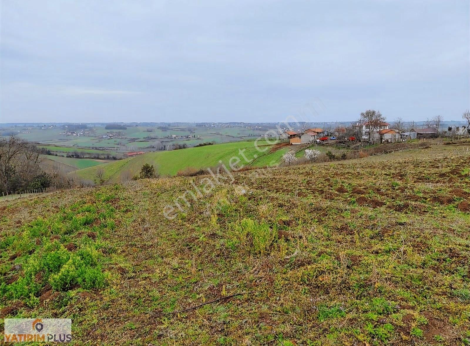 Yatırım Plus'tan Bafra Köselide Köyiçi İmarlı Satılık Tarla - Görsel 17