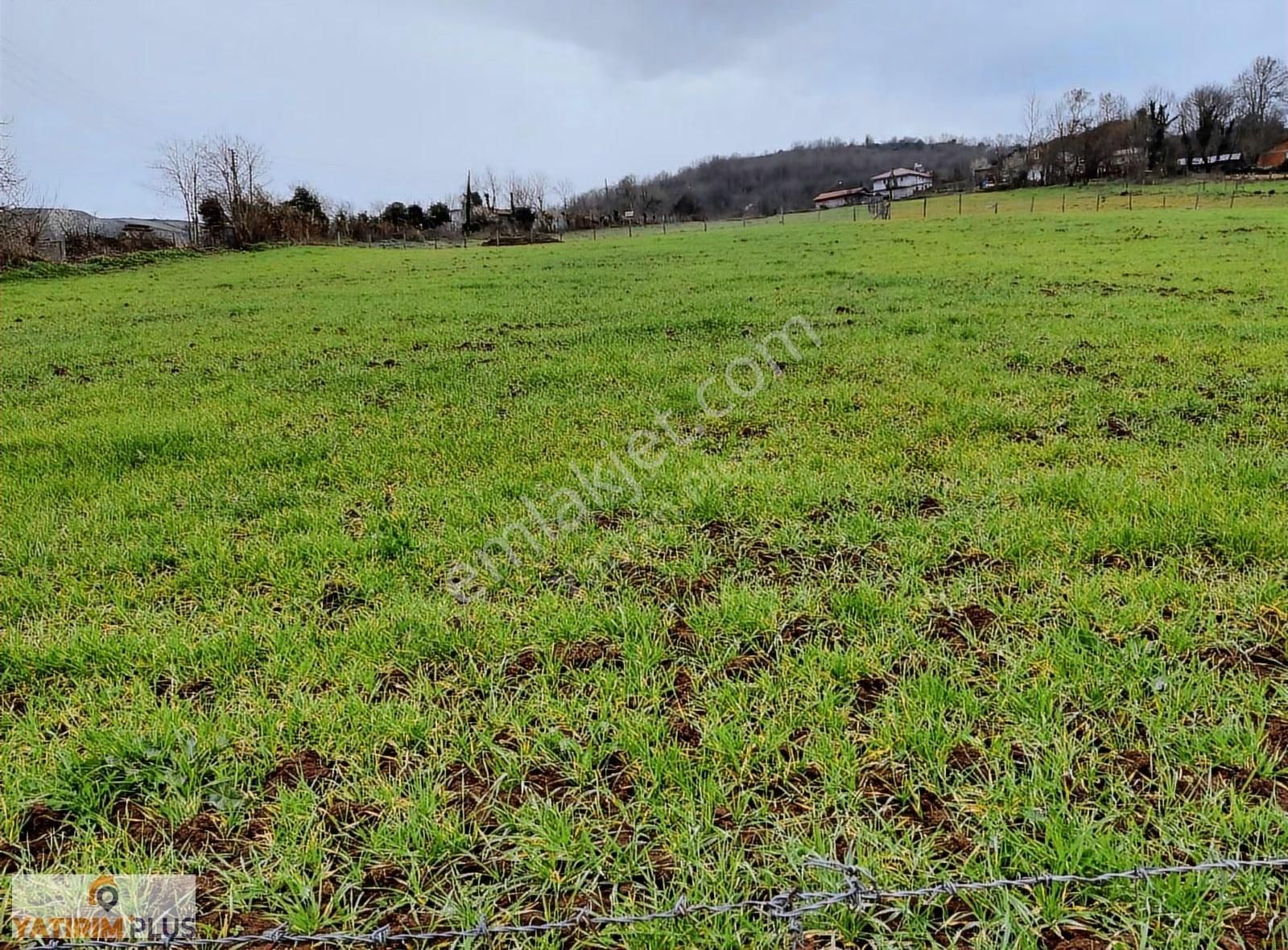 Yatırım Plus'tan Bafra Köselide Köyiçi İmarlı Satılık Tarla - Görsel 31