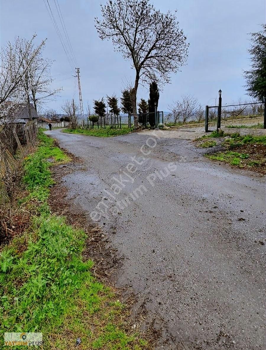 Yatırım Plus'tan Bafra Köselide Köyiçi İmarlı Satılık Tarla - Görsel 25