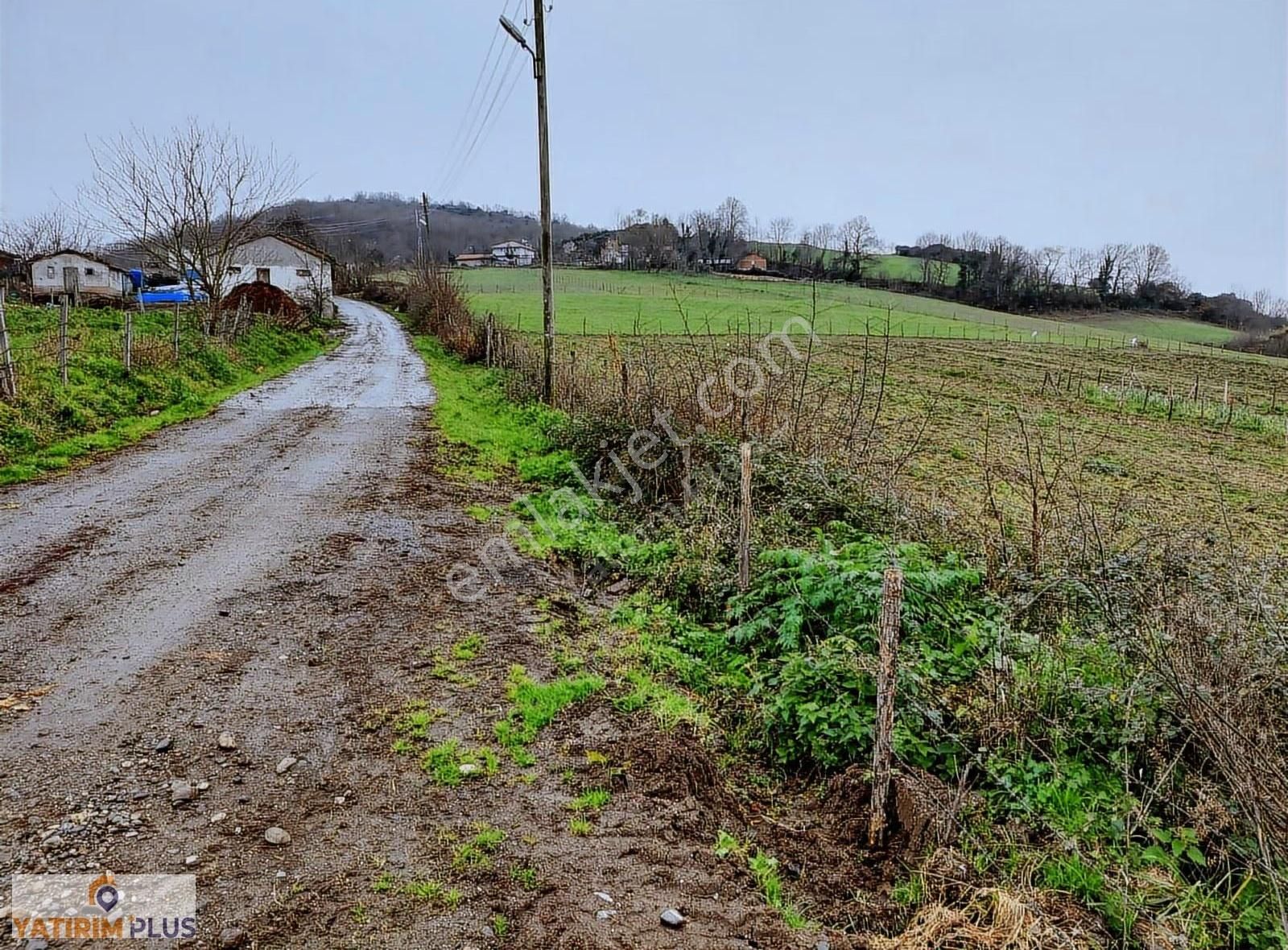 Yatırım Plus'tan Bafra Köselide Köyiçi İmarlı Satılık Tarla - Görsel 29