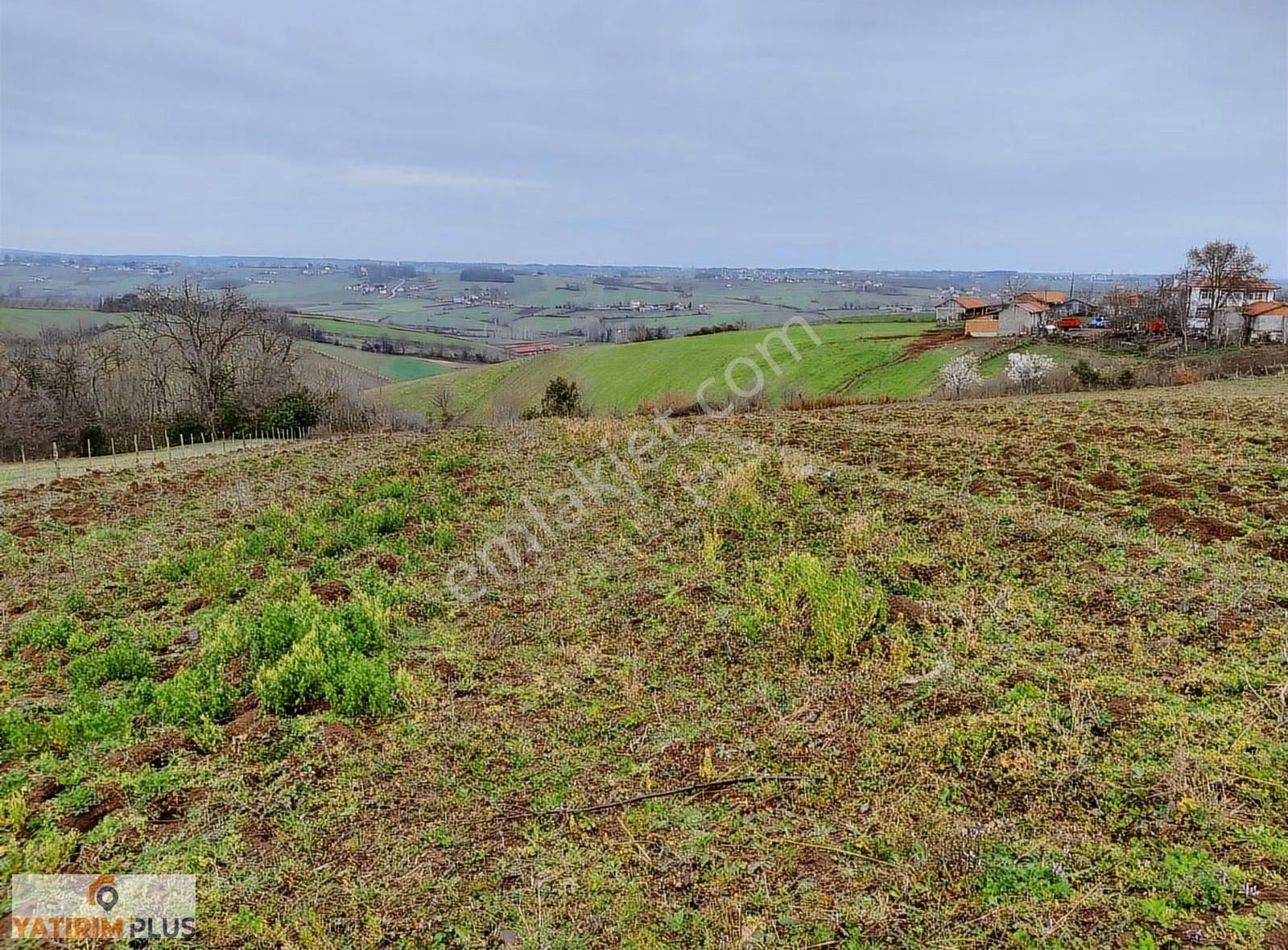 Yatırım Plus'tan Bafra Köselide Köyiçi İmarlı Satılık Tarla - Görsel 30