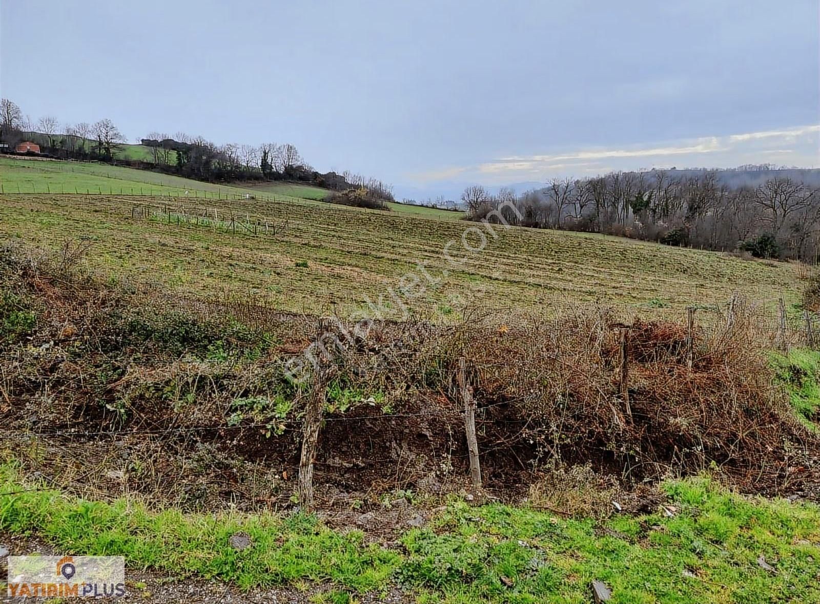 Yatırım Plus'tan Bafra Köselide Köyiçi İmarlı Satılık Tarla - Görsel 21